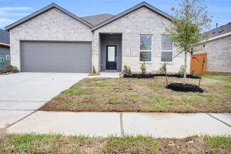 21915 Oia Island Dr, Hockley, TX 77447