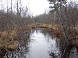 Par C E Millerton Rd, Township of Branch, MI 49402