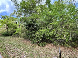 0 NW 74th Ct Unit 111 MFRW7874660, Manattee Road, FL 32626