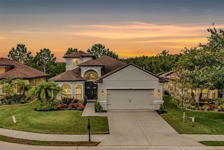 1013 Ketzal Dr, Trinity, FL 34655