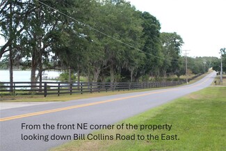 0 Bill Collins Rd, Eustis, FL 32736