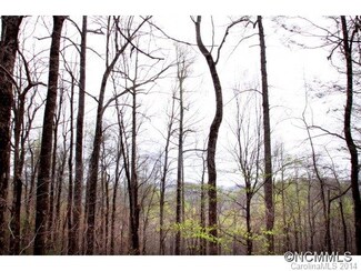 20 Cedar Creek Ridge Extension, Cedar Mountain, NC 28718