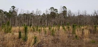 4342 Red Clay Rd, Claxton, GA 30417