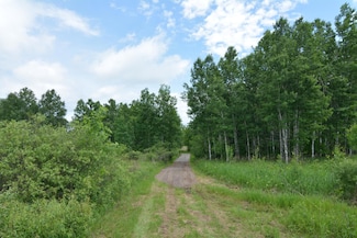 13247 130th Ave, Milaca, MN 56353