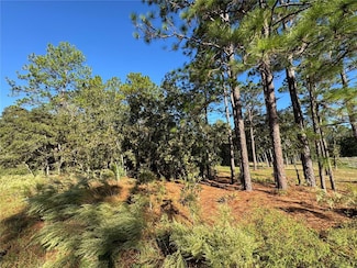 12351 SW 67th Ln, Ocala, FL 34481