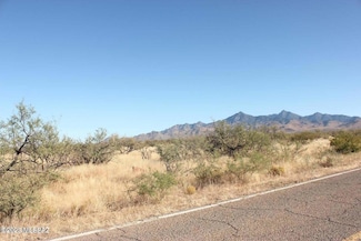378 Camino Josefina Unit 43, Rio Rico, AZ 85648