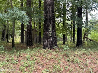 0 Croomsbridge Rd, Burgaw, NC 28425