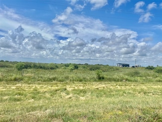 0-3.15 (ACRES) Farm To Market Road 2918, Brazoria, TX 77422