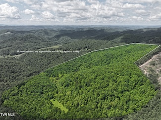 000 Goode Hollow Rd, Duffield, VA 24244