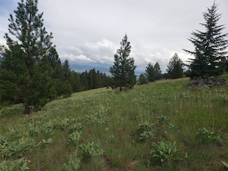 Nhn Oertli Ln, Hamilton, MT 59840