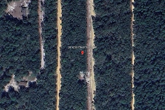 0 Usina Ave, Florahome, FL 32140