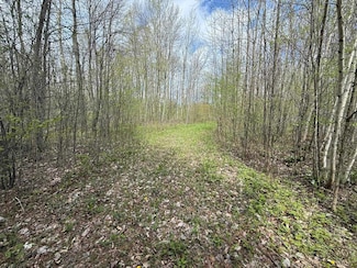1320 County Route 49, Winthrop, NY 13697
