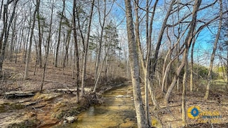 Jeannette Holladay Rd, Parsons, TN 38363