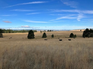 45000 Hidaway Springs Rd, Dale, OR 97880