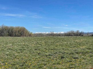 Lot 4 Fuchsia Ln, Olathe, CO 81425
