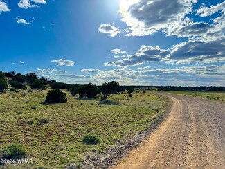 0 8643 12 Acres, Concho, AZ 85924