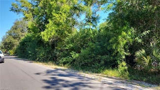 118 Irving Ave, Lehigh Acres, FL 33936