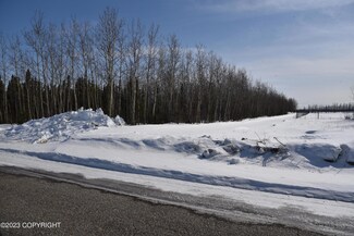 L44B3 Spruce St, Deltana, AK 99737