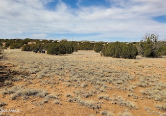 3933 Hidden Ranch Rd Unit 56, Snowflake, AZ 85937
