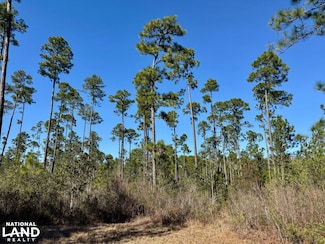 0 Robert White Rd Unit 22669921, Bay Minette, AL 36507