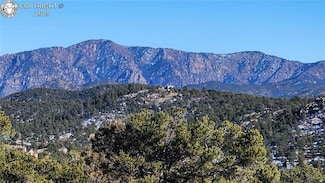 TR-82 35th Trail, Cotopaxi, CO 81223