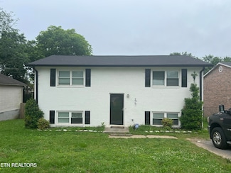 3317 Bishop St, Knoxville, TN 37921