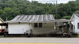 454 Copperas Fork Rd, Holden, WV 25625