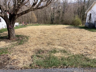 516 Virginia Ave, Marion, VA 24354