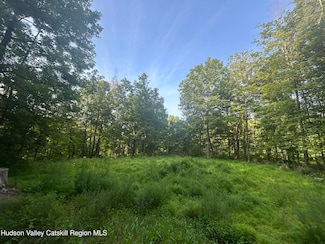 393 County Rte 2, Accord, NY 12404