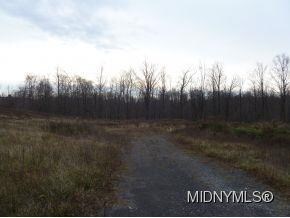 5458 Williams Rd, Munnsville, NY 13409