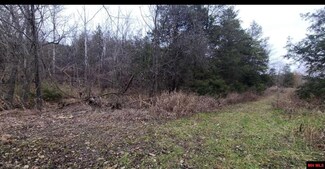 001-01616-000 Russ Rd, Norfork, AR 72658