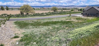 4117 Waterfall Dr, Montrose, CO 81403