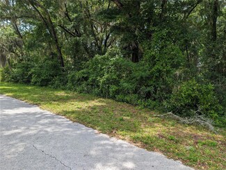 163 & 164 SW Shorewood Dr, Dunnellon, FL 34431