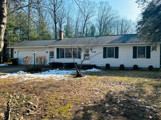 207 West Rd, Lyon Township, MI 48653