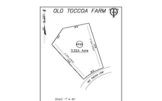 HP25 Old Toccoa Loop, Mineral Bluff, GA 30559