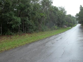 3011 E Hester St, Inverness Highlands North, FL 34453