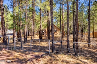1148 N 43rd Dr, Show Low, AZ 85901