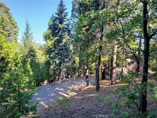 330 Castle Gate Rd, Lake Arrowhead, CA 92352