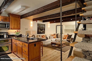 914 Waters Ave Unit 19, Aspen, CO 81611