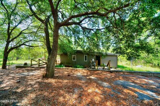 4309 Pinto Ln, Chipley, FL 32428