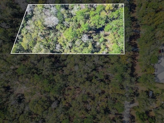 0 Parramore Shores Rd Unit 384720, Tallahassee, FL 32310