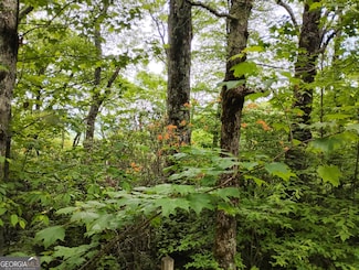 0 LOT 51 Bayberry Ln, Sky Valley, GA 30537