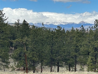 97 Chap Way Unit 215, Hartsel, CO 80449