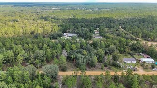 223 Shangri-La St, Interlachen, FL 32148