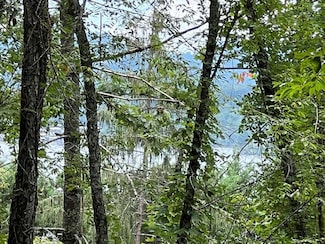 PC 1 Buena Vista Ln, Hayesville, NC 28904