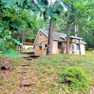 9177 S Lost Pine Ave, Baldwin, MI 49304