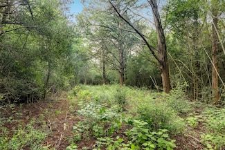 TBD Homestead Ln, Burton, TX 77835