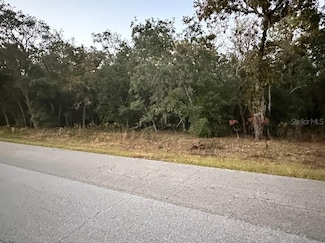 861 W Olympia St, Hernando, FL 34442