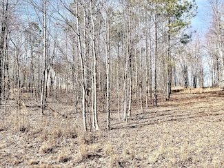 0 Crockett Pointe Unit RTC2787090, Jasper, TN 37347