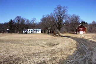 228 Shady Tree Ln, Howes Cave, NY 12092